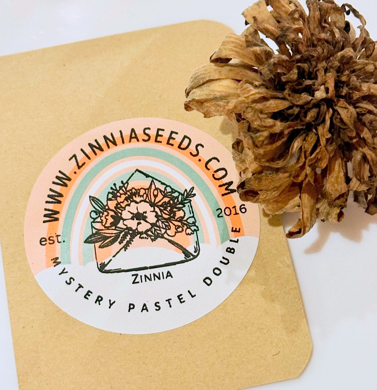 Pastel Double Mystery Pack Zinnia Seeds