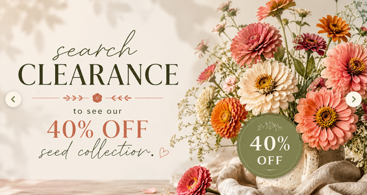 Summer Clearance!