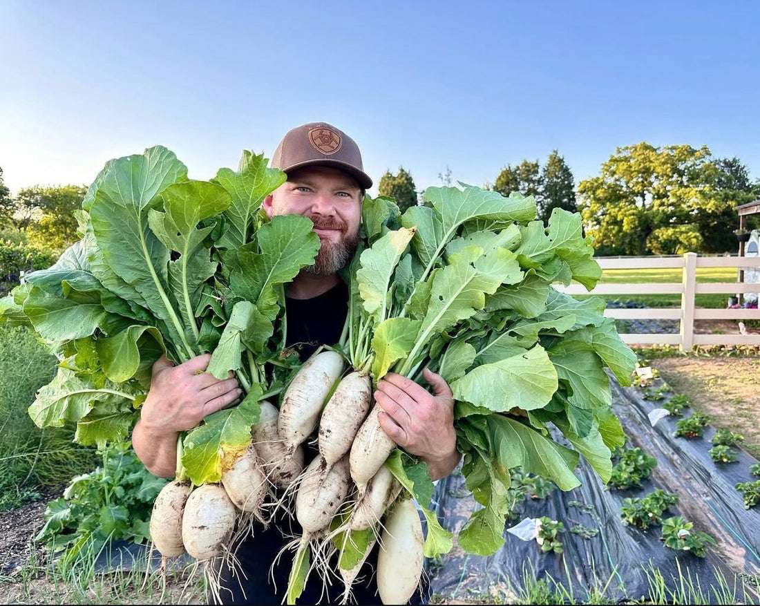 Our Favorite Cold Hardy Cover Crops