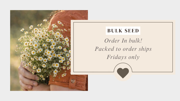 Bulk Seed
