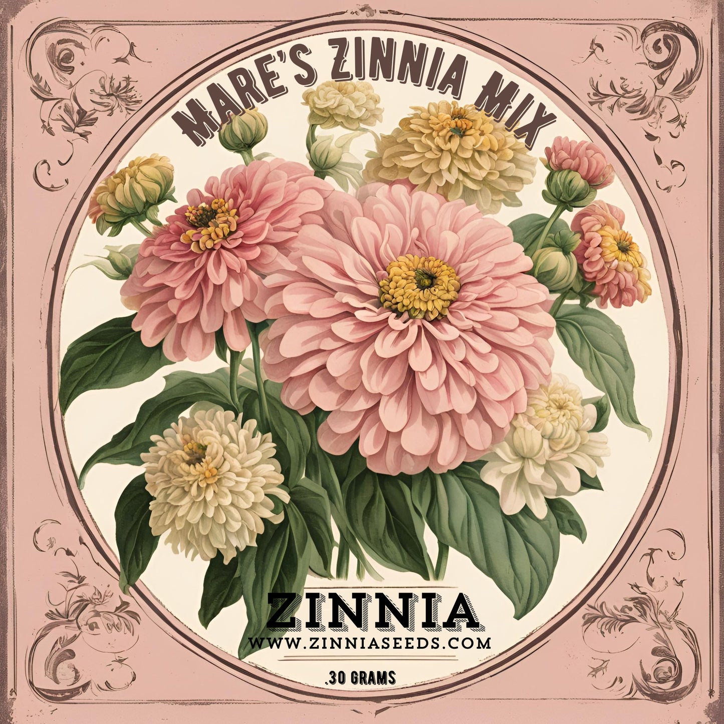 SHIPS Dec 5th.  Mare’s Mix Zinnia Seeds