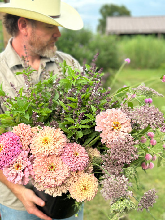 Mare’s Mix Fundraiser Seeds 2024