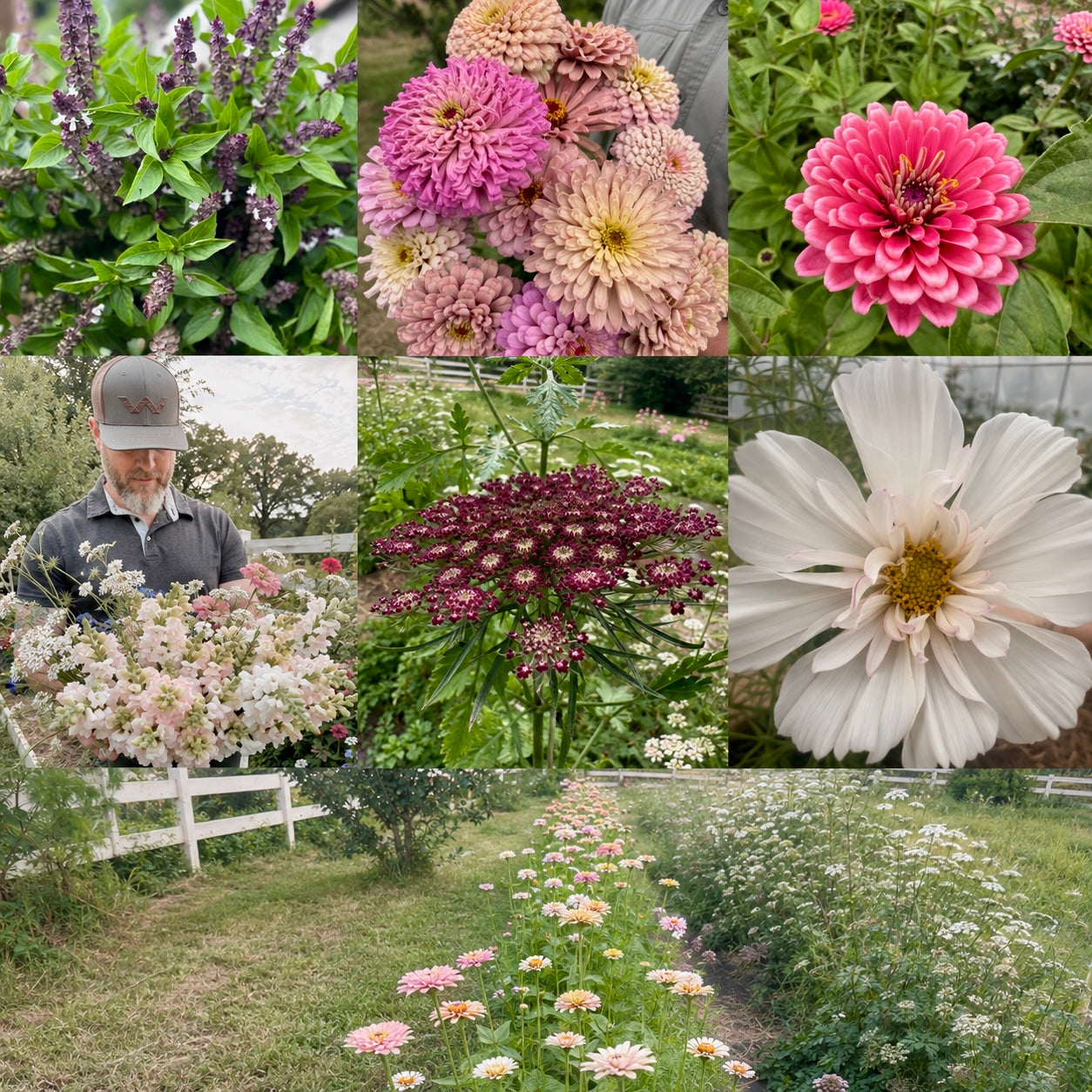 Products – ZinniaSeeds.com