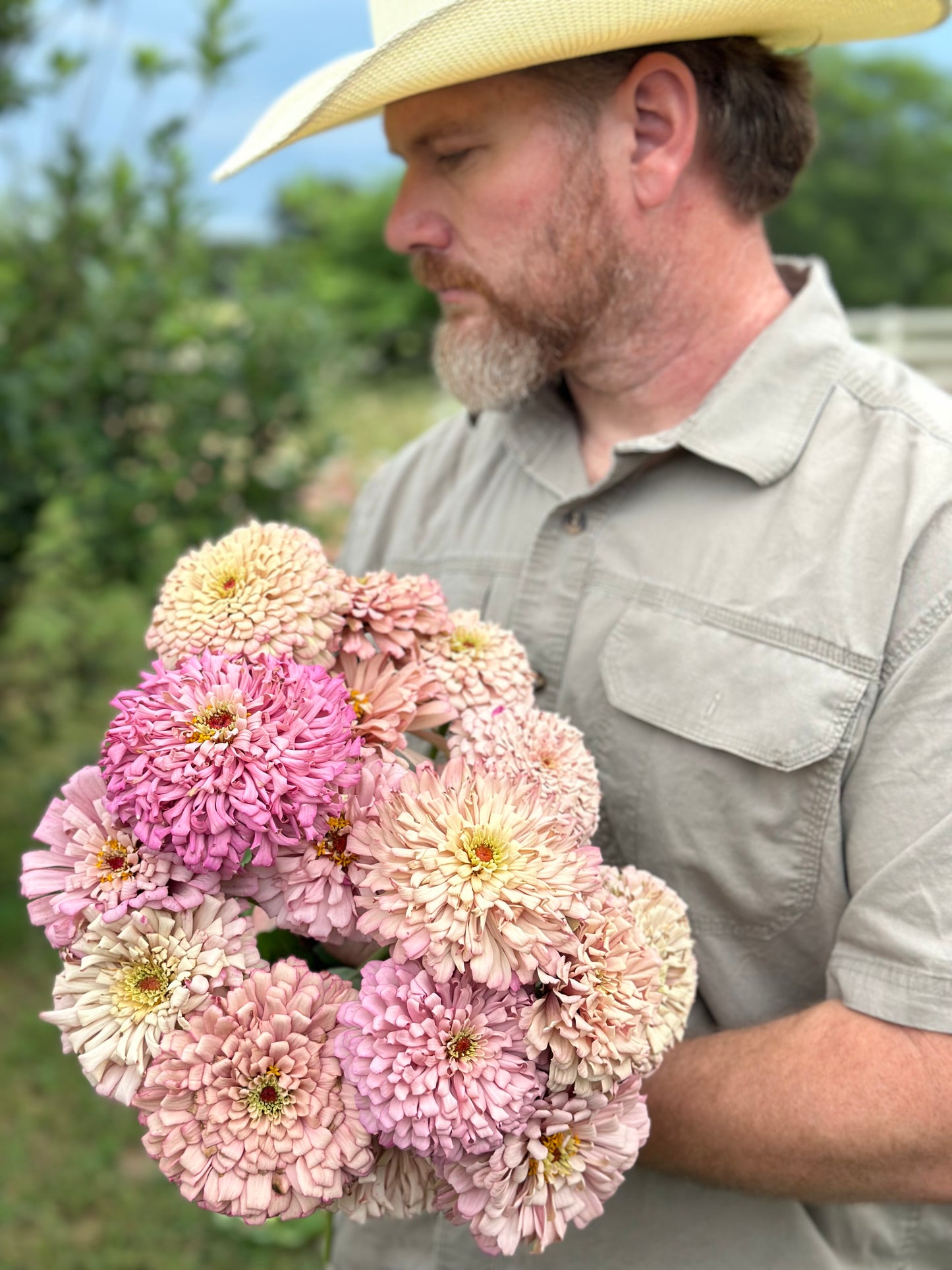 Pinks & Peach Mix Zinnia Seeds