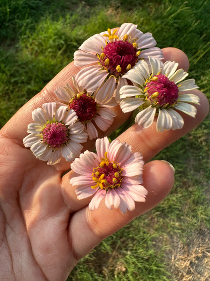 Strawberry Bon Bon Zinnia Seeds